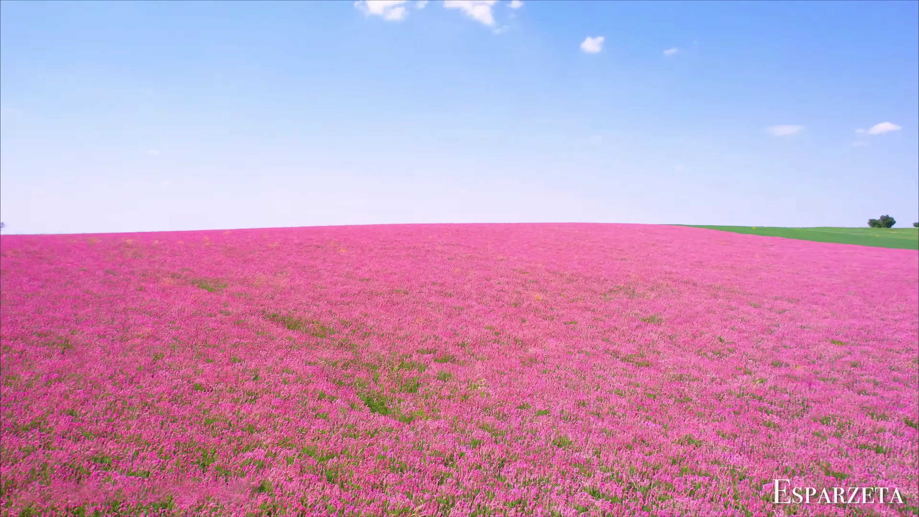 Colors