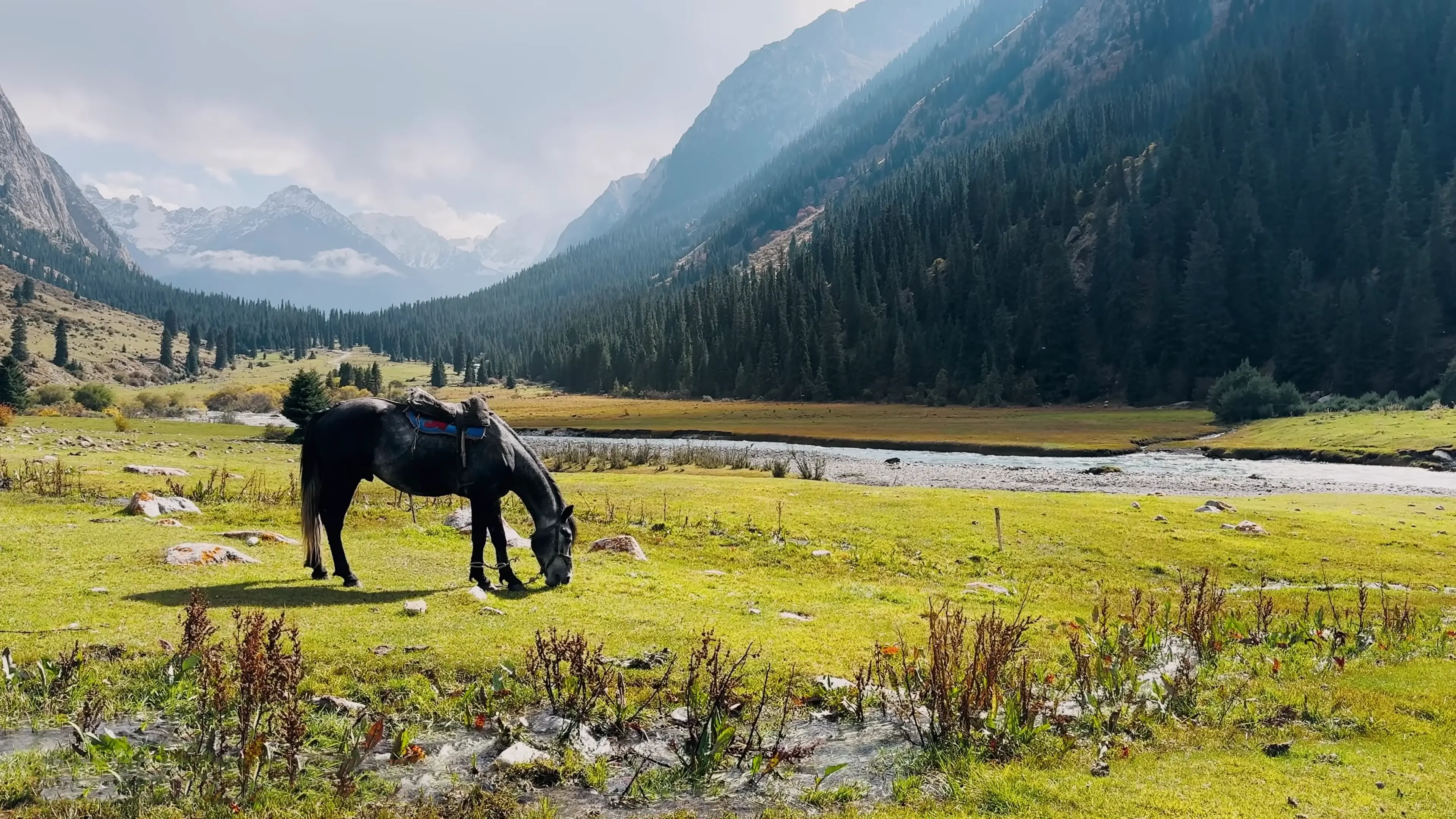Echoes of the Silk Road
